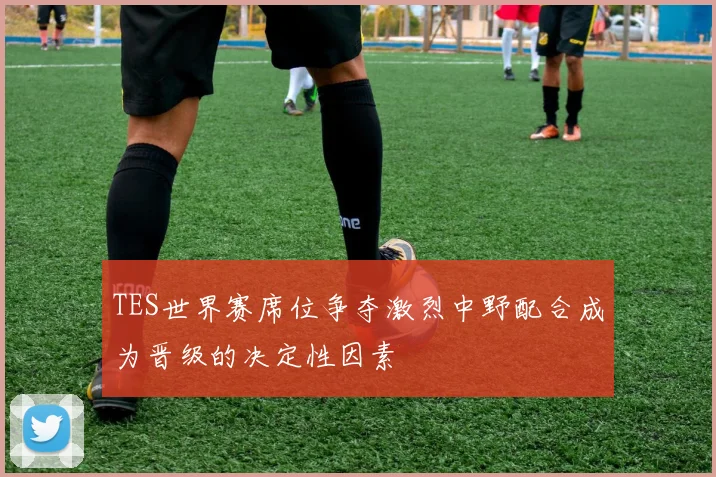 TES世界赛席位争夺激烈中野配合成为晋级的决定性因素