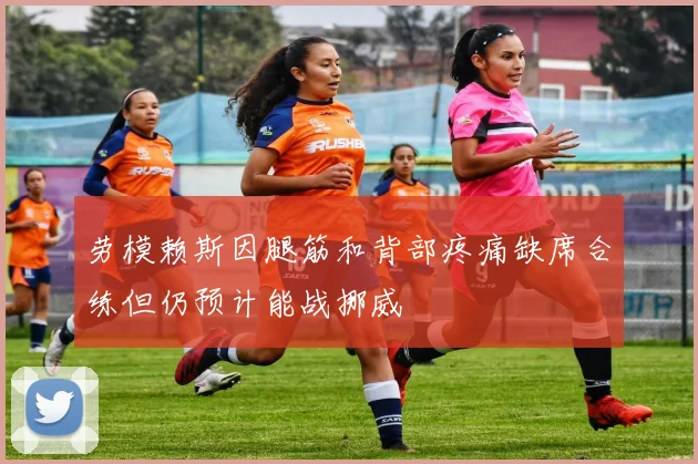 劳模赖斯因腿筋和背部疼痛缺席合练但仍预计能战挪威